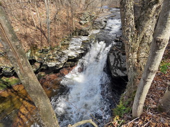 picture taken during a hike