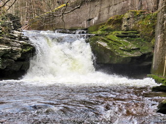 picture taken during a hike