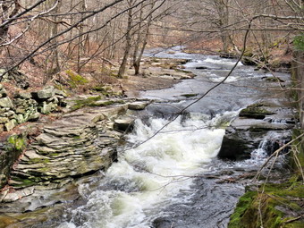 picture taken during a hike