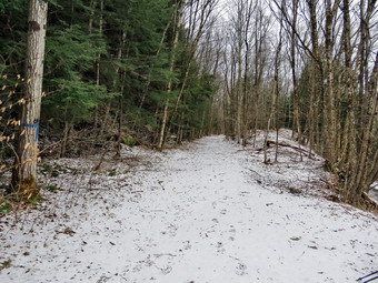 picture taken during a hike