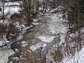 picture taken during a hike