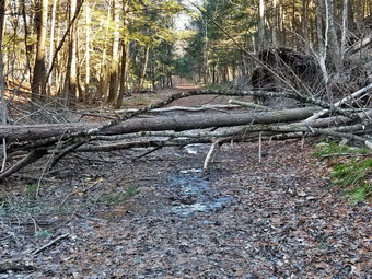 picture taken during a hike