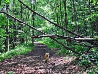 picture taken during a hike