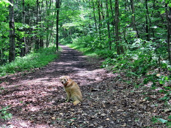 picture taken during a hike