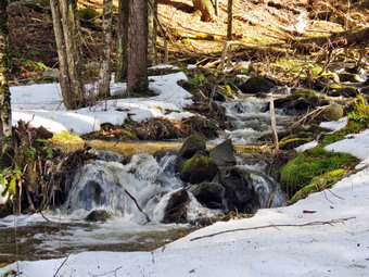 picture taken during a hike