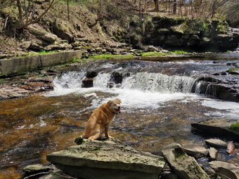 picture taken during a hike