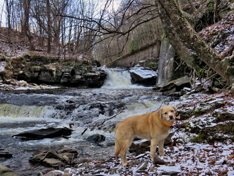 picture taken during a hike