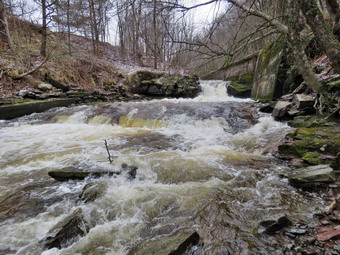 picture taken during a hike