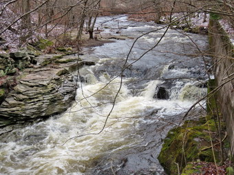 picture taken during a hike