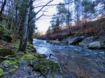 picture taken during a hike