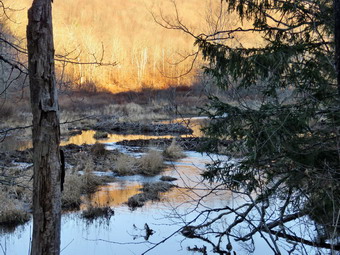 picture taken during a hike