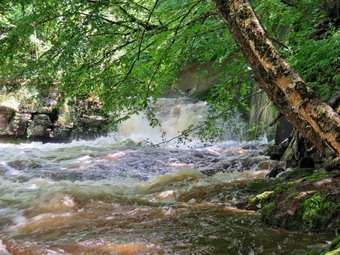 picture taken during a hike