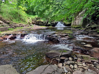 picture taken during a hike