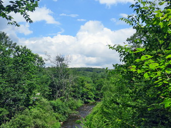 picture taken during a hike