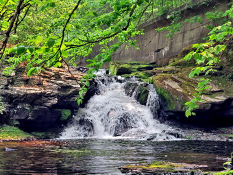 picture taken during a hike