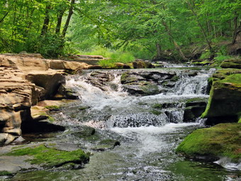 picture taken during a hike