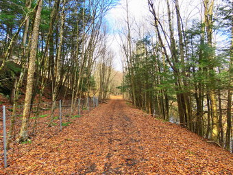 picture taken during a hike