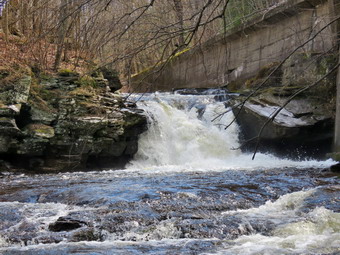 picture taken during a hike