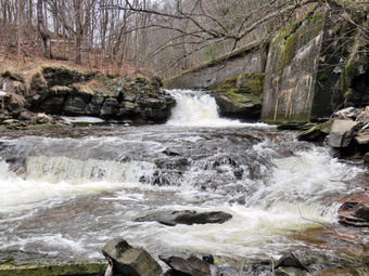 picture taken during a hike