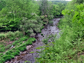 picture taken during a hike