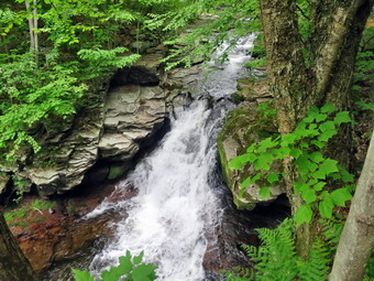 picture taken during a hike