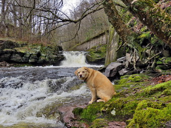 picture taken during a hike