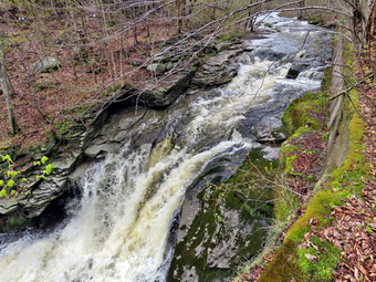 picture taken during a hike