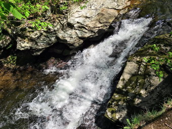 picture taken during a hike