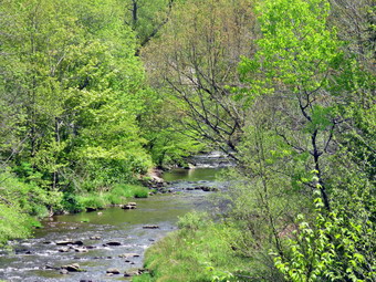 picture taken during a hike