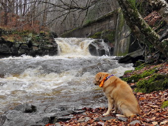 picture taken during a hike