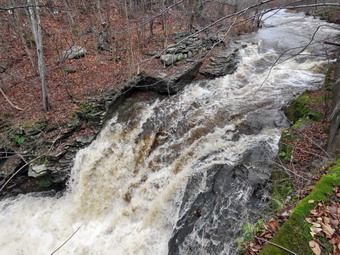 picture taken during a hike