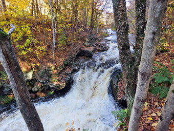 picture taken during a hike