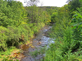 picture taken during a hike