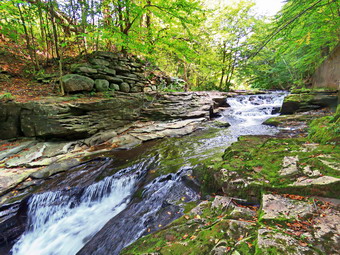 picture taken during a hike