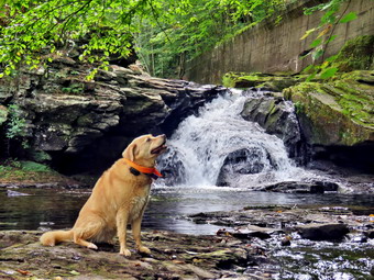 picture taken during a hike