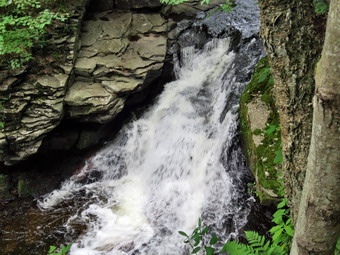 picture taken during a hike