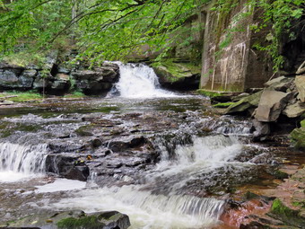 picture taken during a hike