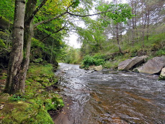 picture taken during a hike