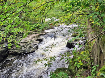 picture taken during a hike