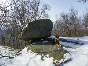 picture taken during a hike