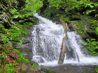 picture taken during a hike