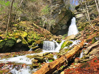 picture taken during a hike