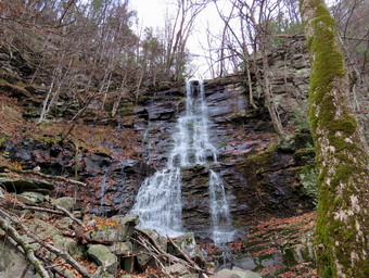 picture taken during a hike