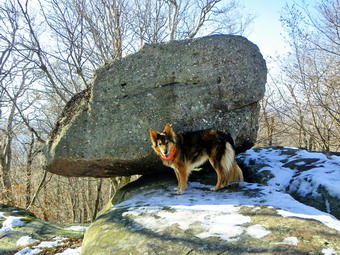 picture taken during a hike