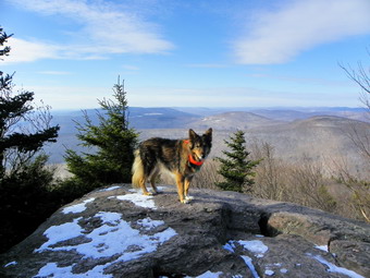 picture taken during a hike