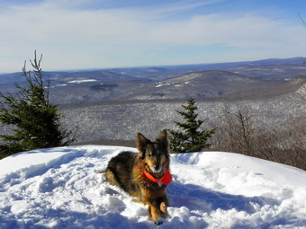 picture taken during a hike