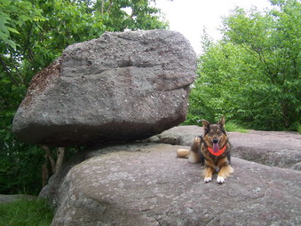 picture taken during a hike