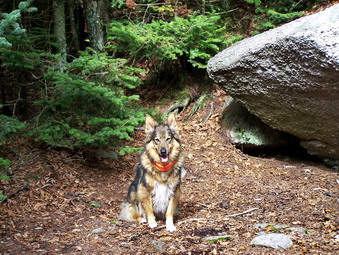 picture taken during a hike