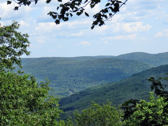 picture taken during a hike