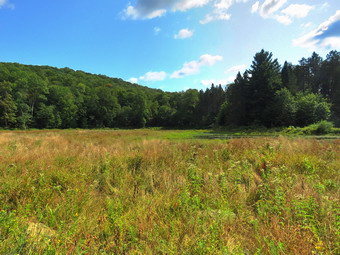 picture taken during a hike